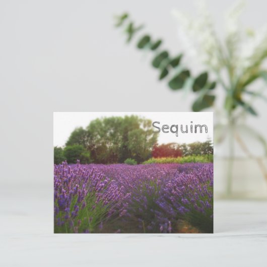 Lavender Fields Sequim Postkarte (Stehend Vorderseite)