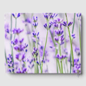 Lavender Fields Wedding Guest Book Gästebuch (Rückseite)