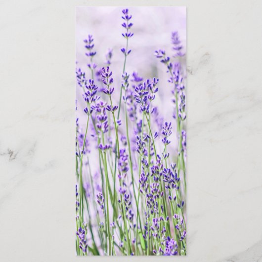 Lavender Fields Wedding Menu Menükarte (Rückseite)