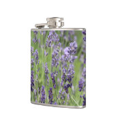 Lavender Flachmann (Links)