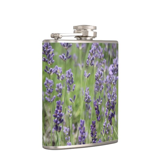 Lavender Flachmann (Rechts)