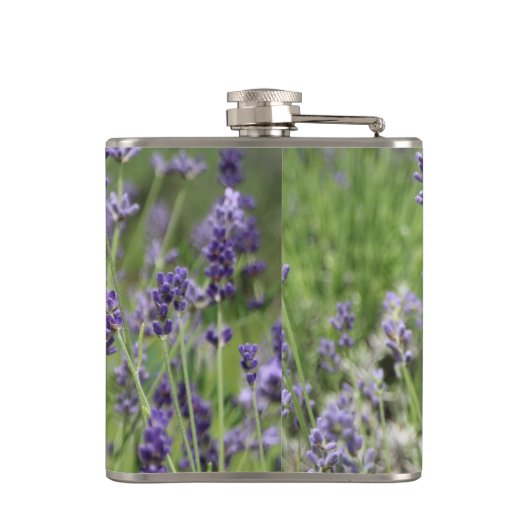 Lavender Flachmann (Rückseite)