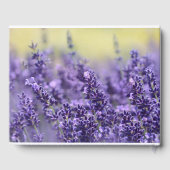 Lavender Funeral Guest Book | In Love Memory Gästebuch (Rückseite)