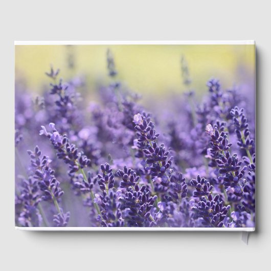 Lavender Funeral Guest Book | In Love Memory Gästebuch (Rückseite)