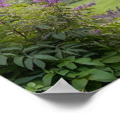 Lavender Garden at Sunrise – Peaceful Floral Lands Poster (Ecke)