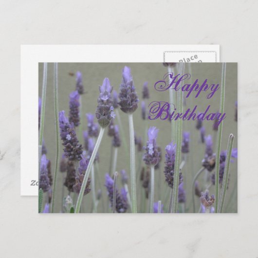 Lavender Happy Birthday Postkarte (Vorne/Hinten)
