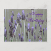 Lavender Happy Birthday Postkarte (Vorderseite)