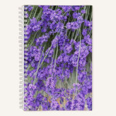Lavender Herb Blooms Floral Notizblock (Vorderseite)