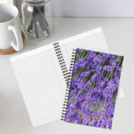 Lavender Herb Blooms Floral Notizblock