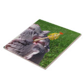 Lavender Hibisken Blume Tile Fliese (Seite)