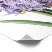 Lavender Hyacinth Blume Art Print Poster (Ecke)