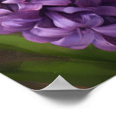 Lavender Hyacinth Blume Art Print Poster (Ecke)