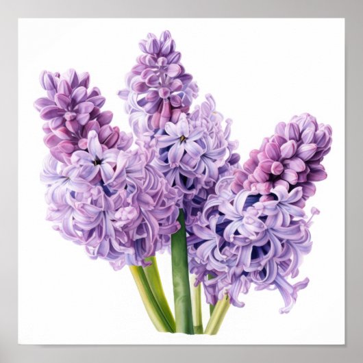 Lavender Hyacinth Blume Art Print Poster (Vorne)