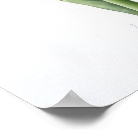 Lavender Hyacinth Blume Art Print Poster (Ecke)