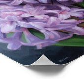 Lavender Hyacinth Blume Art Print Poster (Ecke)