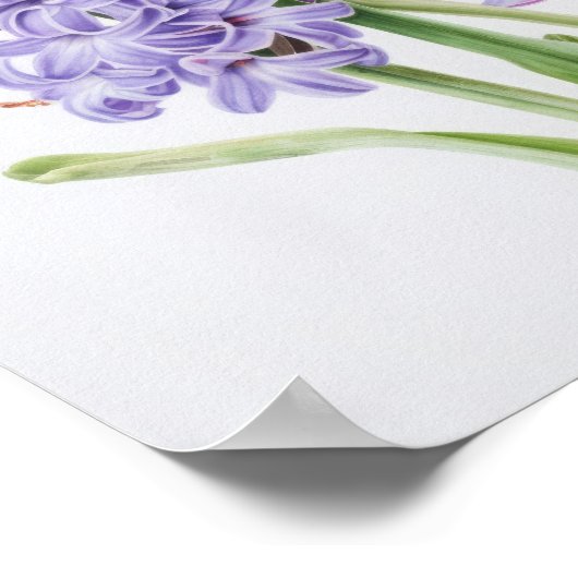 Lavender Hyacinth Blume Art Print Poster (Ecke)