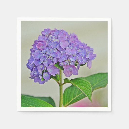 Lavender Hydrangea Blossom Paper Napkin Serviette (Vorderseite)