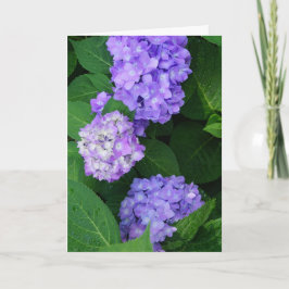 Lavender Hydrangea Dankeskarte