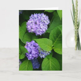 Lavender Hydrangea Dankeskarte