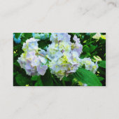 Lavender Hydrangea in Garden Visitenkarte (Rückseite)