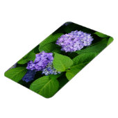 Lavender Hydrangea Magnet (Linke Seite)