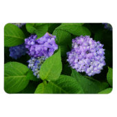 Lavender Hydrangea Magnet (Horizontal)