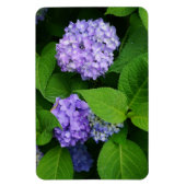 Lavender Hydrangea Magnet (Vertikal)