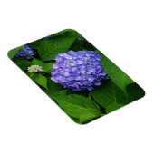 Lavender Hydrangea Magnet (Rechte Seite)