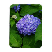 Lavender Hydrangea Magnet (Vertikal)
