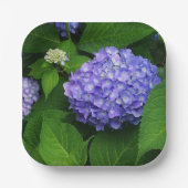 Lavender Hydrangea Pappteller (Vorderseite)