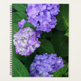 Lavender Hydrangea Planer