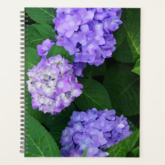 Lavender Hydrangea Planer (Vorderseite)