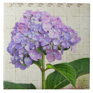 Lavender Hydrangea Tile Fliese