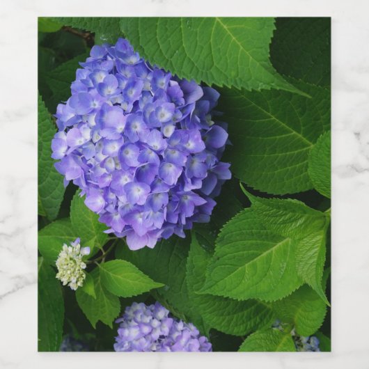 Lavender Hydrangea Weinetikett (Einzelnes Label)