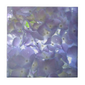 Lavender Hydrangeas Fliese (Vorderseite)