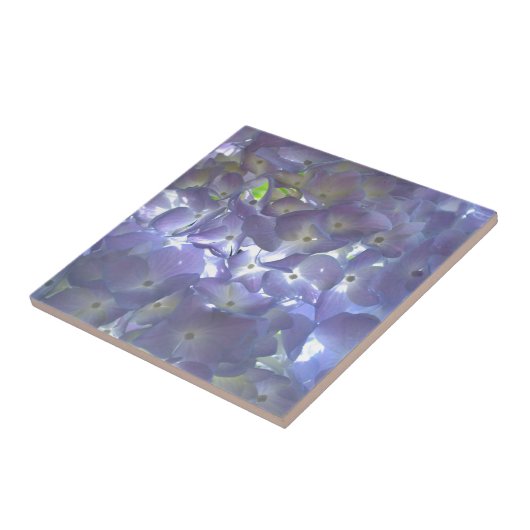 Lavender Hydrangeas Fliese (Seite)