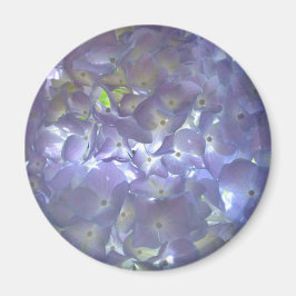 Lavender Hydrangeas Magnet
