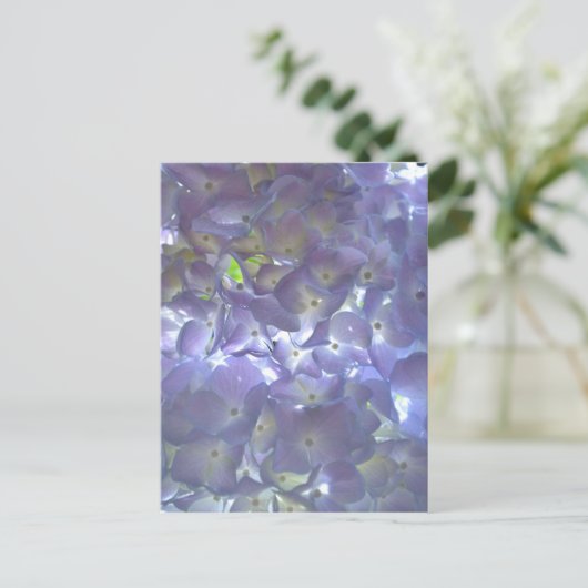 Lavender Hydrangeas Postkarte (Stehend Vorderseite)