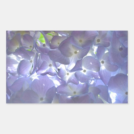Lavender Hydrangeas Rechteckiger Aufkleber (Vorderseite)