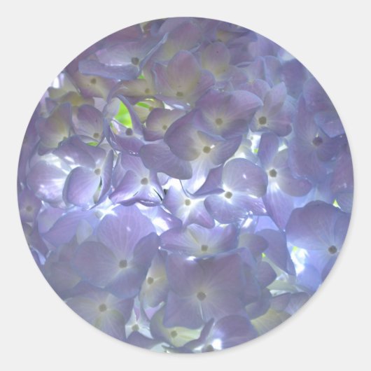 Lavender Hydrangeas violette Blumen Runder Aufkleber (Vorderseite)