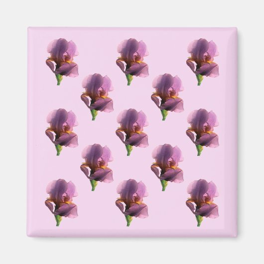 Lavender Ire...... Magnet (Vorne)