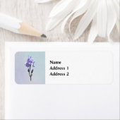 Lavender Iris and Buds (Insitu)