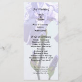 Lavender Iris and Buds Programm (Vorderseite)