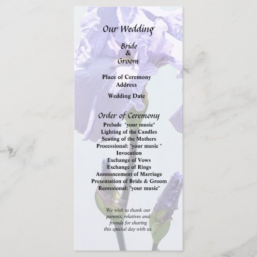 Lavender Iris and Buds Programm (Vorderseite)