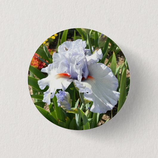 Lavender Iris Button (Vorderseite)