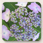 Lavender Lace Cap Hydrangea Bloom Cork Untersetzer (Vorderseite)