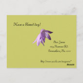 Lavender Lady Bells Postkarte (Rückseite)