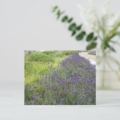 Lavender Landscape DIY Postkarte (Stehend Vorderseite)