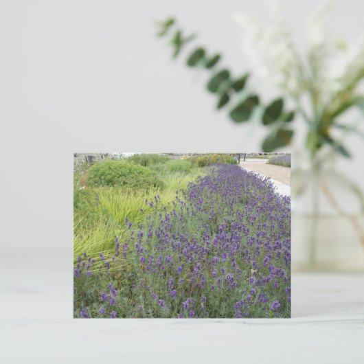 Lavender Landscape DIY Postkarte (Stehend Vorderseite)
