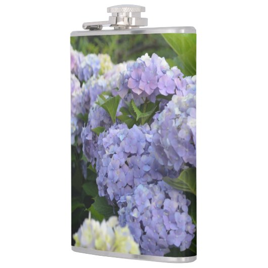 Lavender & Lilac Hortensia Hydrangea Blume Flachmann (Links)
